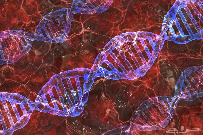 معلمة عن ب عد عبر Zoom متخصصة في علوم أحياء كيميا 5