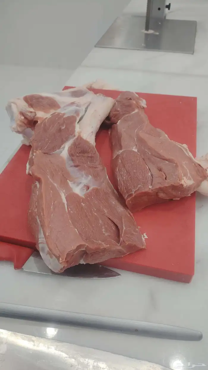 محمد جزار من مصر مقيم بالسعودية ببحث عن أي عمل في اي ملحمه 6