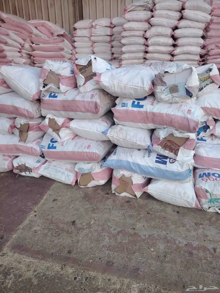 خبر ناشف نظيف 1