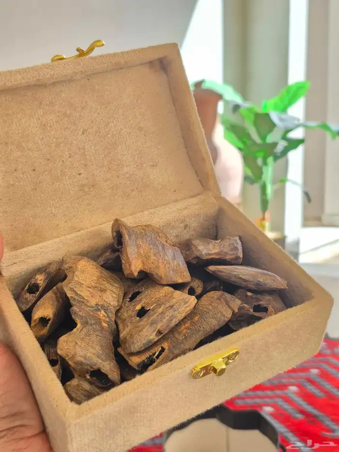 بخور طبيعي صيني ثمن 2