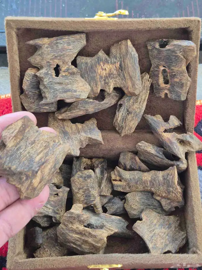 بخور طبيعي صيني ثمن 3