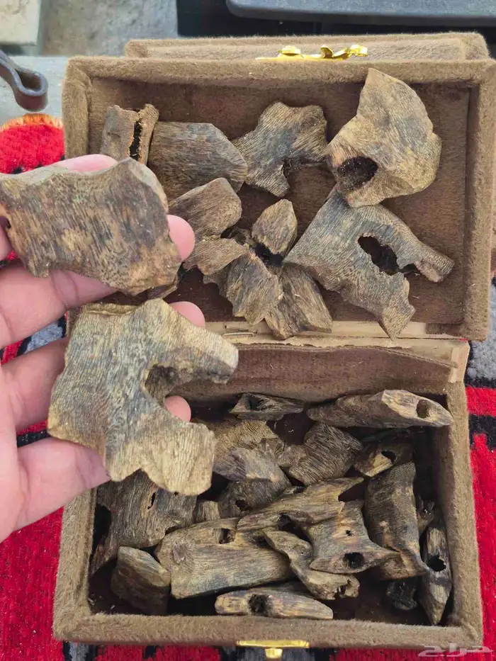 بخور طبيعي صيني ثمن 5