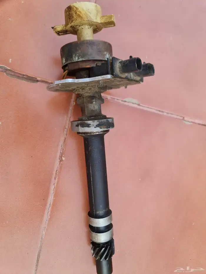 ديلكوا جمس بليزر كابرس حلابات 0