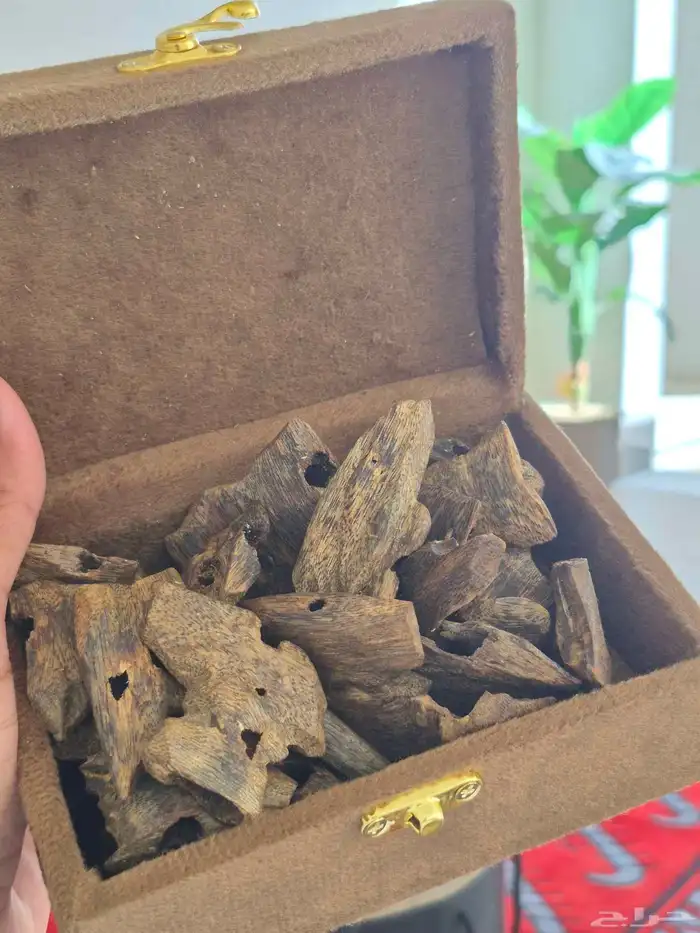 بخور طبيعي صيني ثمن 0