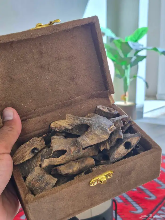 بخور طبيعي صيني ثمن 1