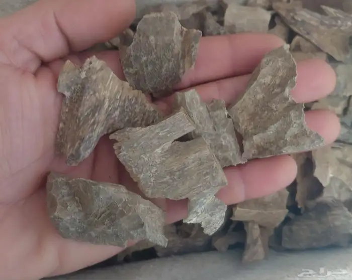 عود فيتامي طبيعي سوبر وسوبر وأقل 2