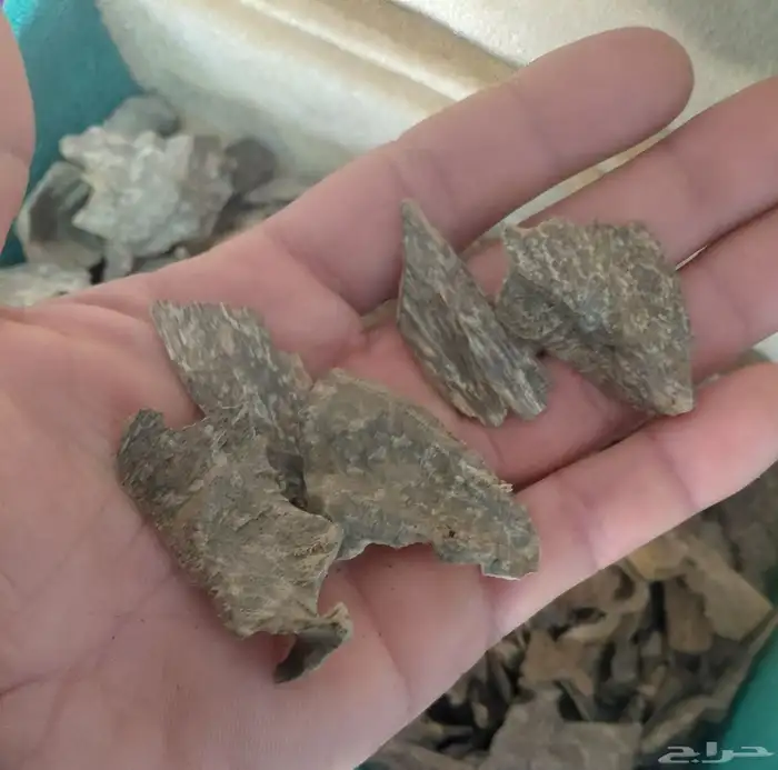 عود فيتامي طبيعي سوبر وسوبر وأقل 0