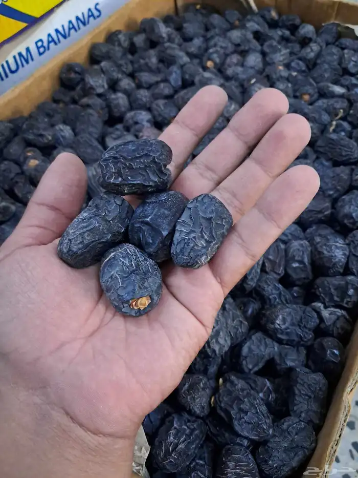 عجوة من 7 ريال 1