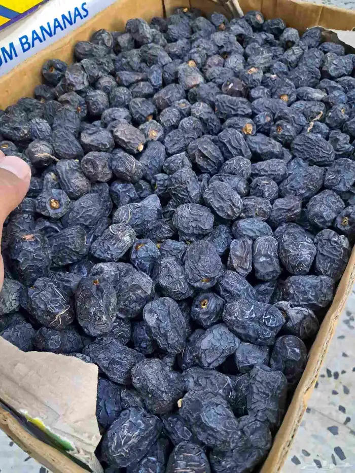 عجوة من 7 ريال 2