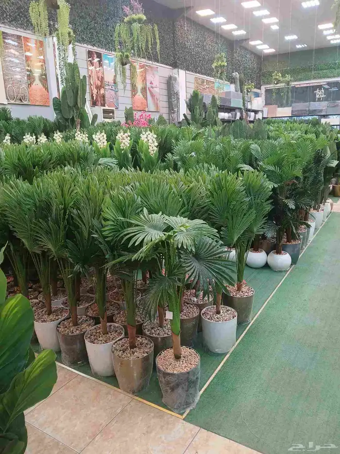 مشاتل الرياض 5