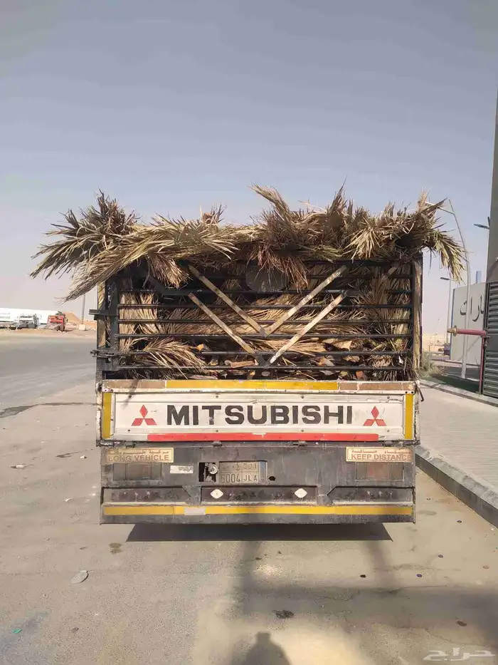 سعف نخل جديد أخضر للعرايش والمظلات والمظلات 0