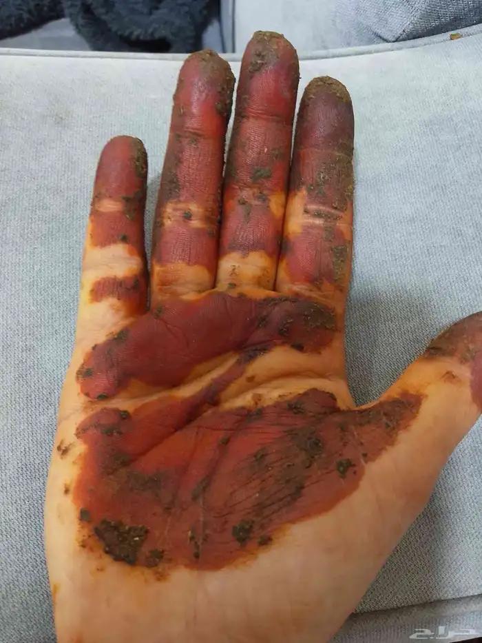 بيع حنا طبيعي حلو 0