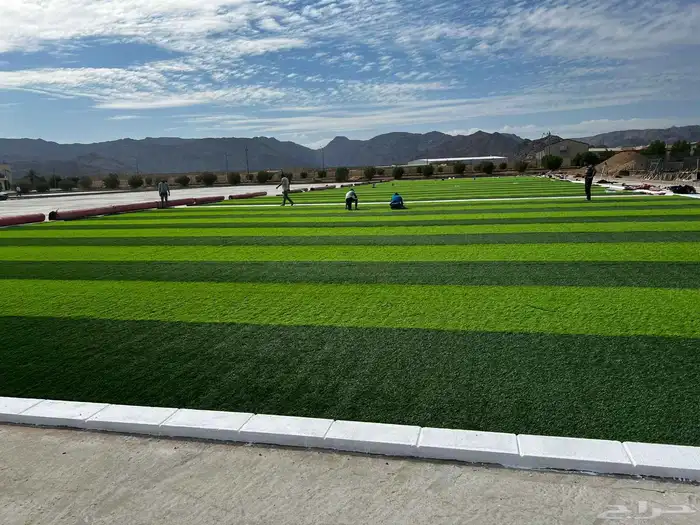 عشب طبيعي القصيم عشب صناعي تنسيق استراحه 17