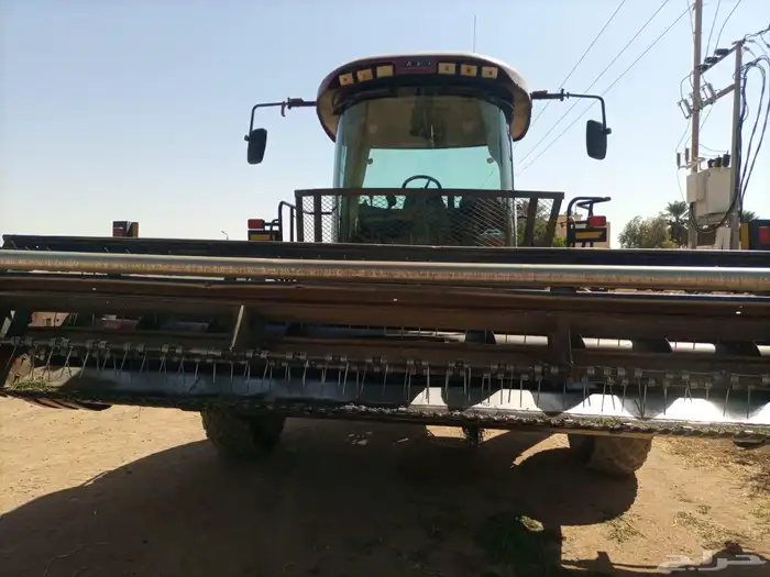 حساد  برسيم للبيع 2