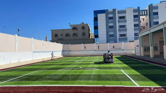 عشب طبيعي القصيم عشب صناعي تنسيق استراحه 14