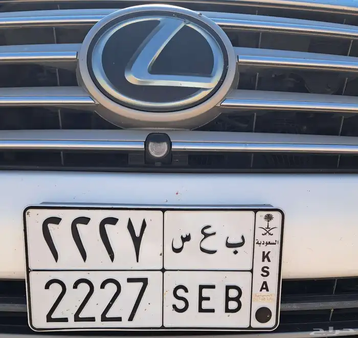 لوحة مميزة للبيع 1