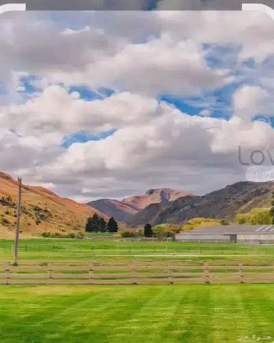 مطلوب مزرعة للايجار 0