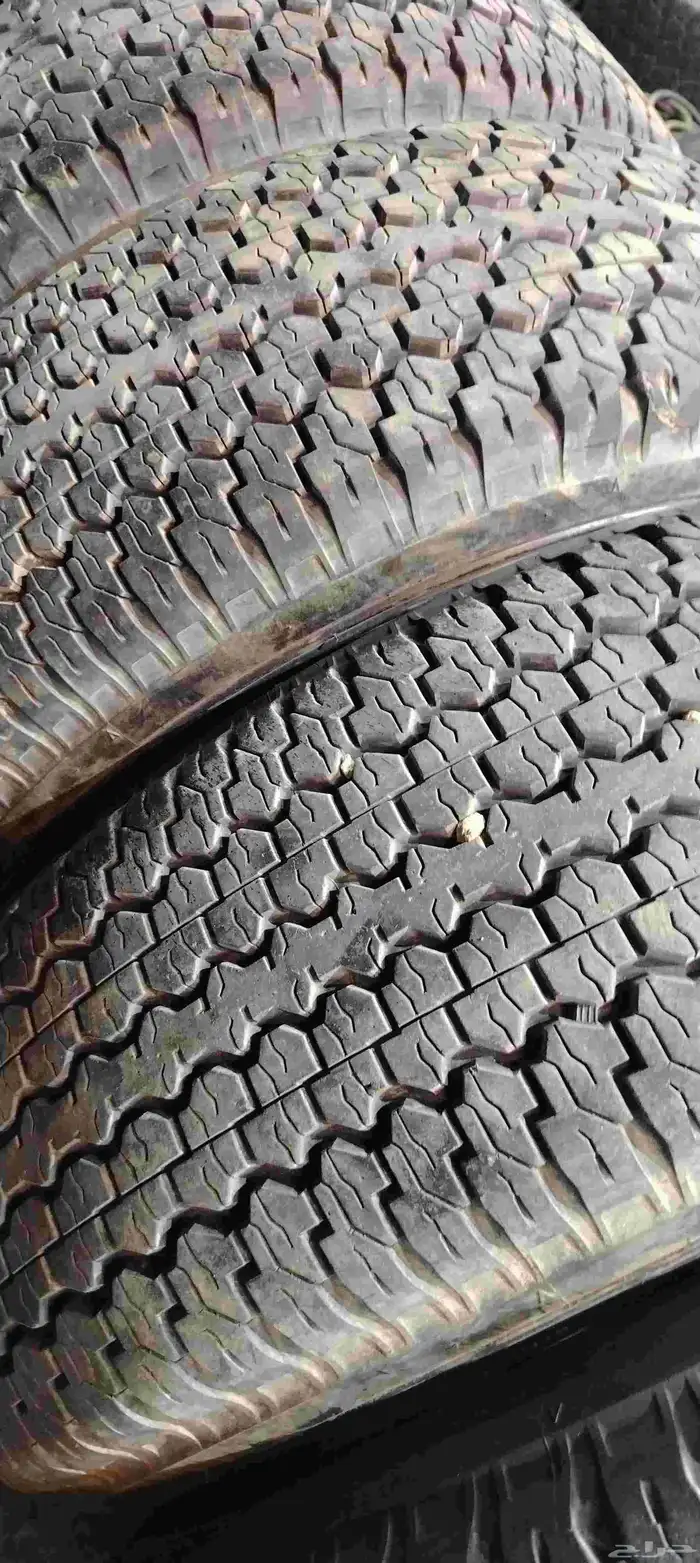 دلوب رفرف شاص 16 0