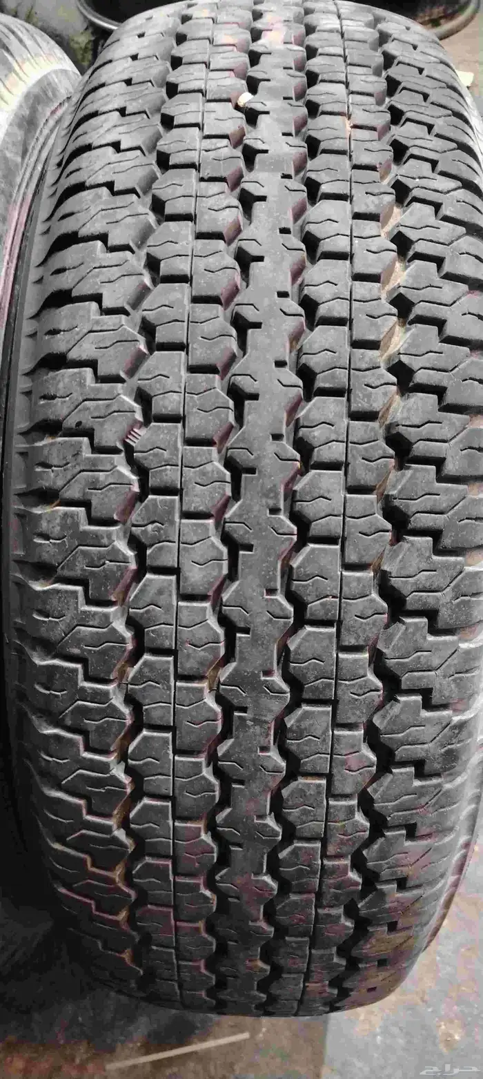 دلوب رفرف شاص 16 13