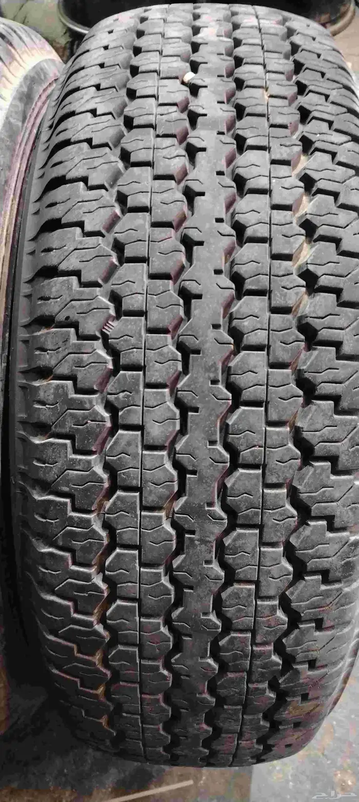 دلوب رفرف شاص 16 14