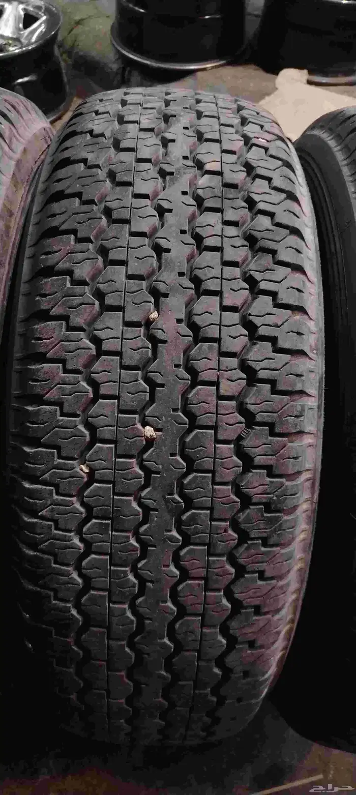 دلوب رفرف شاص 16 10