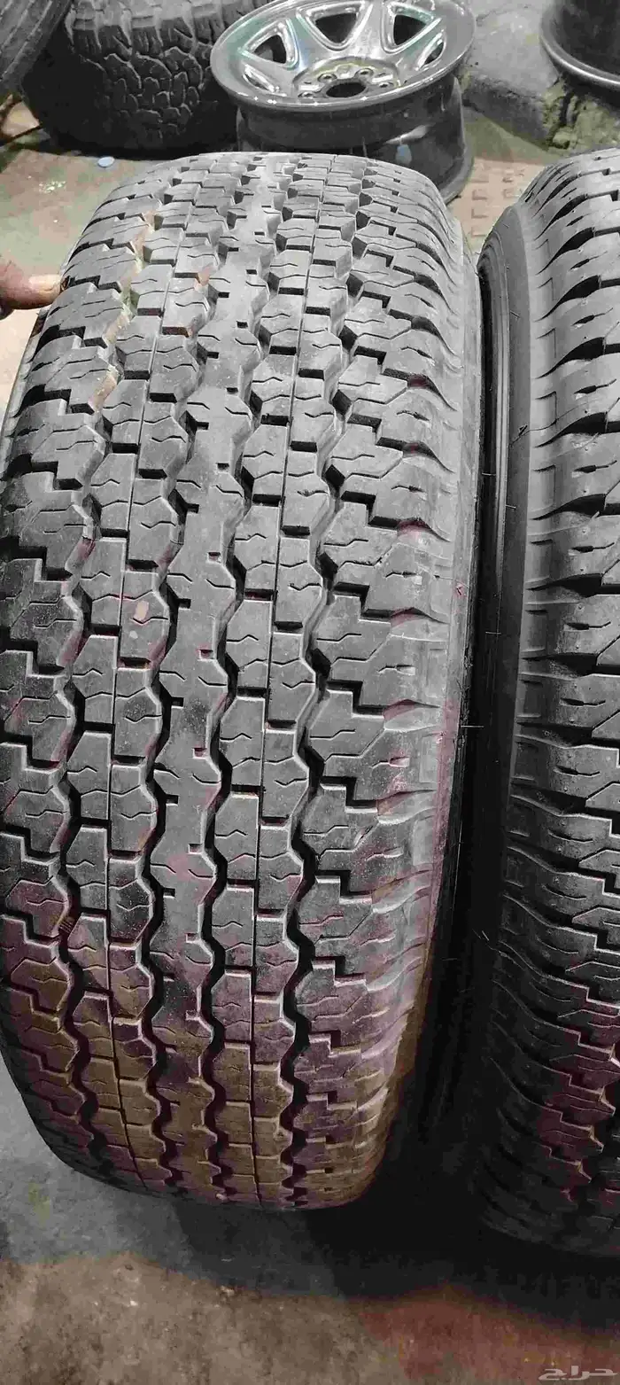 دلوب رفرف شاص 16 7