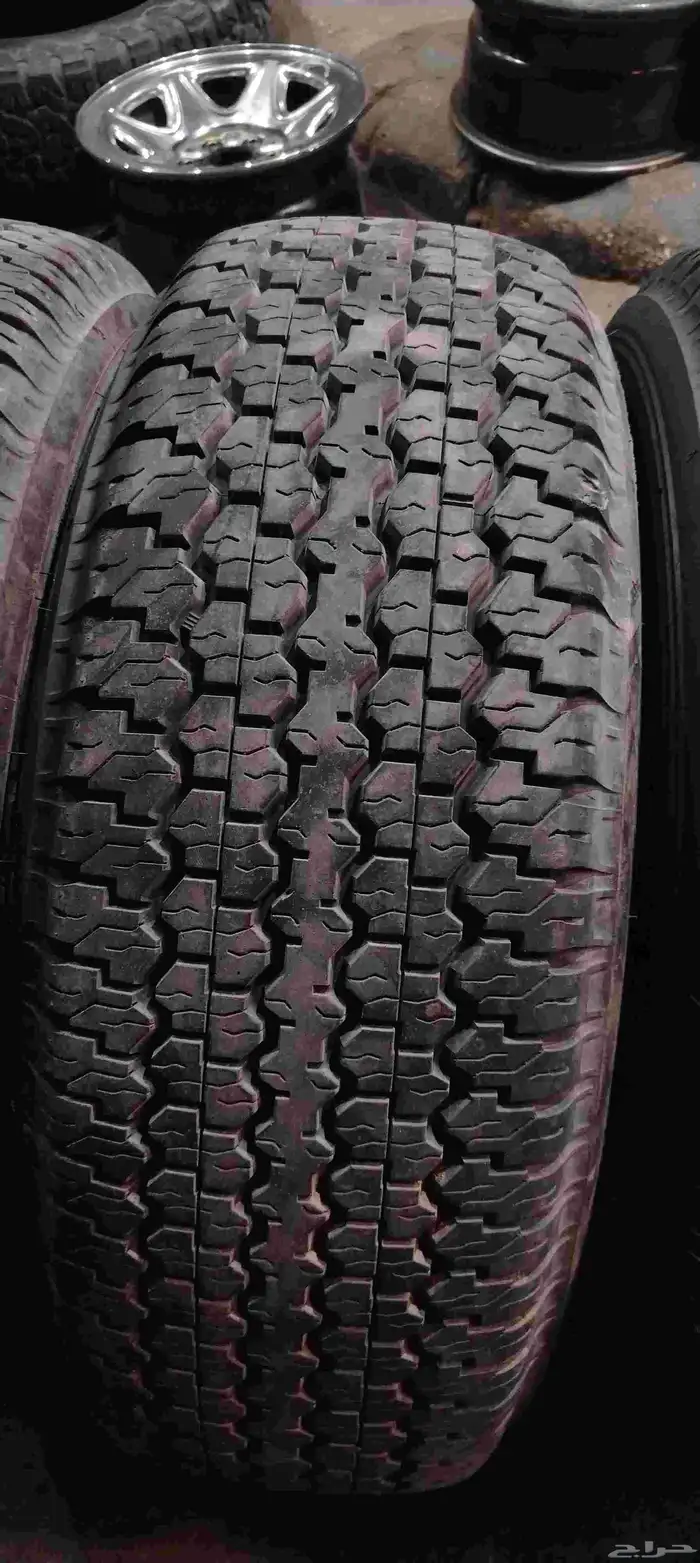 دلوب رفرف شاص 16 11