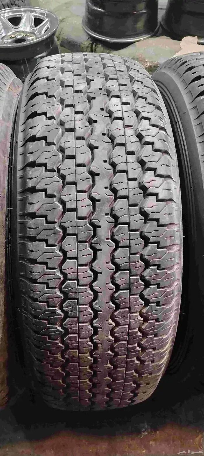 دلوب رفرف شاص 16 19