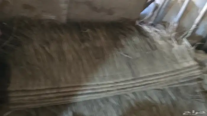 قش لاندنوسي 3