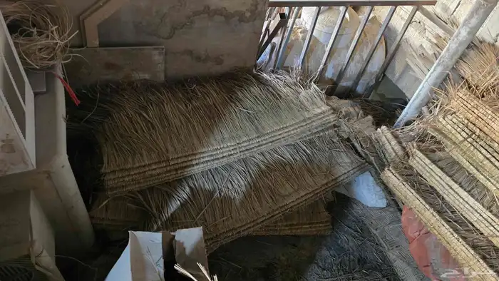 قش لاندنوسي 1