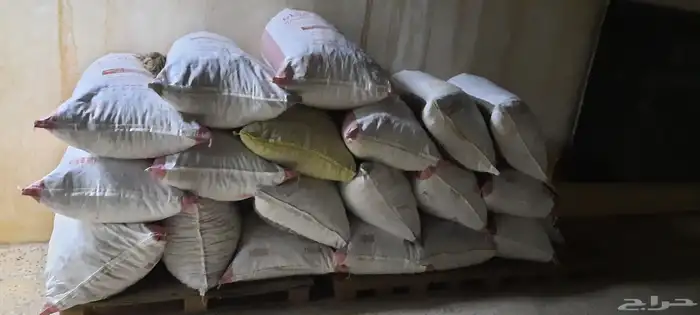 علف تمر للمواشي 0