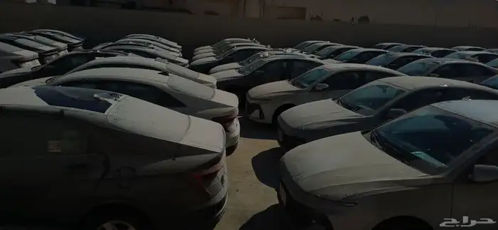 اكسنت 2026 للايجار للشركات والافراد 1