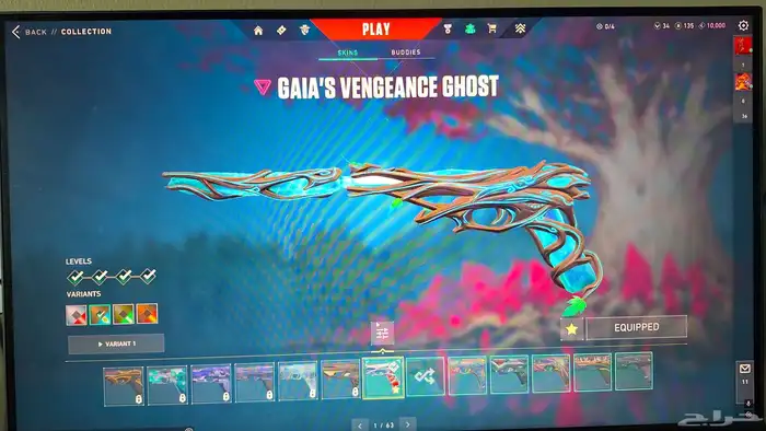 Valorant account (Champions 2021) 20