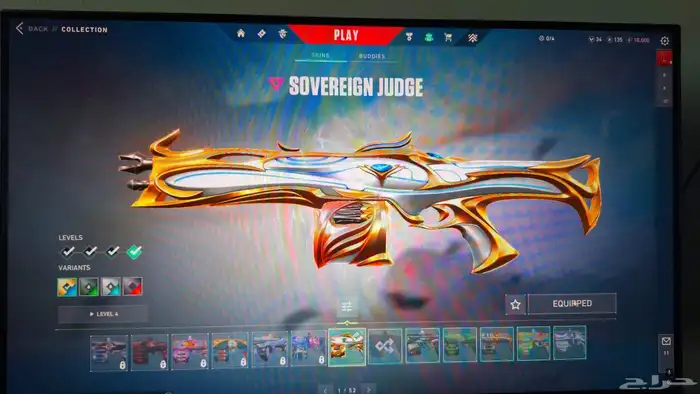 Valorant account (Champions 2021) 16