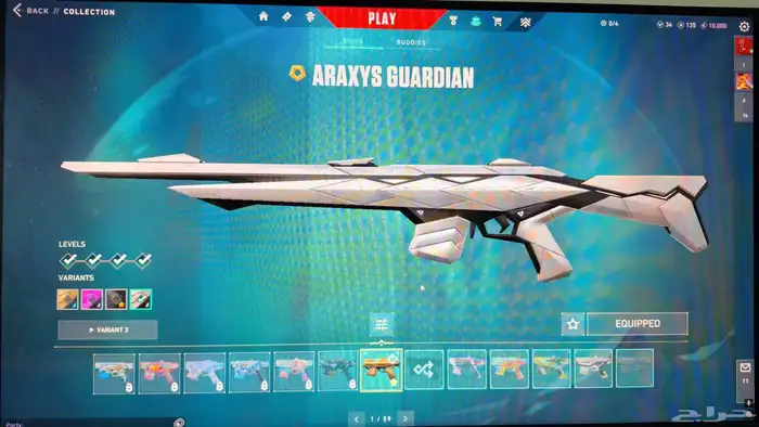 Valorant account (Champions 2021) 25