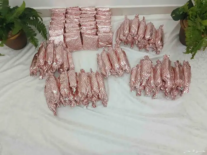 ساندوتشات لجميع المناسبات 4