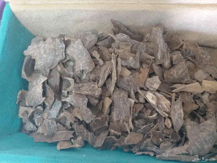 عود فيتامي طبيعي سوبر وسوبر وأقل 1