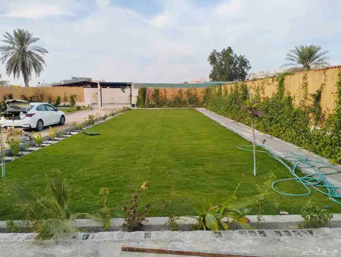 عشب طبيعي القصيم عشب صناعي تنسيق استراحه 0