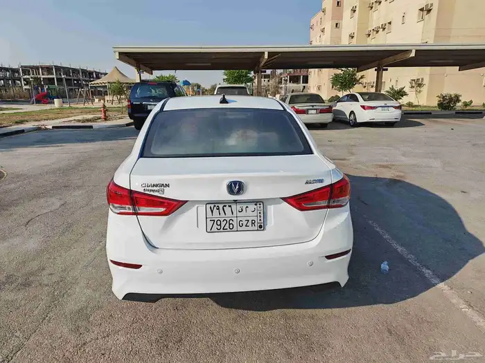 شنجان السفن 2024 6