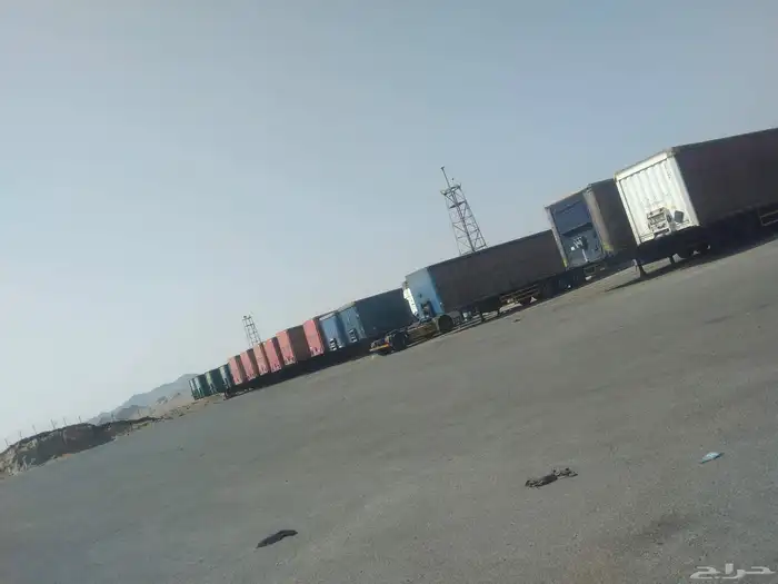 20 Tara BBW Bpw price 37 phone number 0