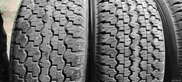 دلوب رفرف شاص 16 8