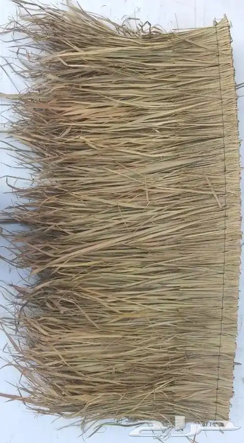 قش لاندنوسي 4