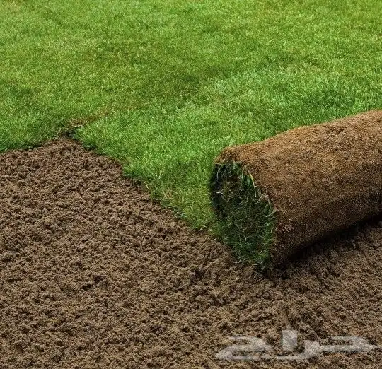 منسق حدائق غرف زجاجية شلالات نوافير جلسات خارجيه 8