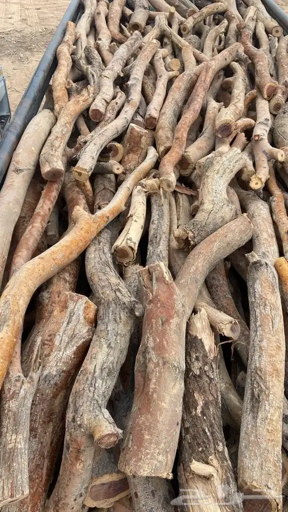 بقلاوة سمر المدينه 1