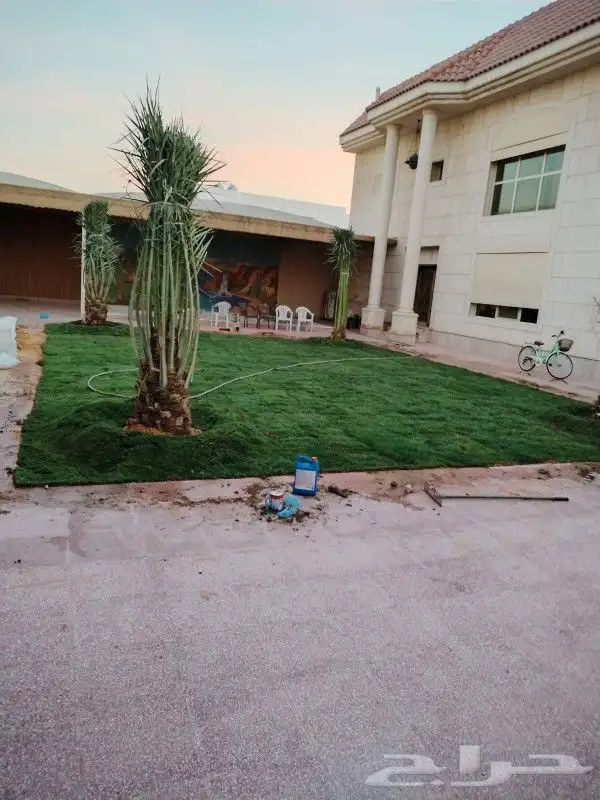 زراعه تيل طبيعي والاشجار تنسيق حدائق شامله 1