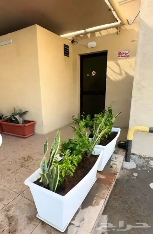 منسق حدائق وتركيب جميع شبكات الري العادي والاتمتك 1