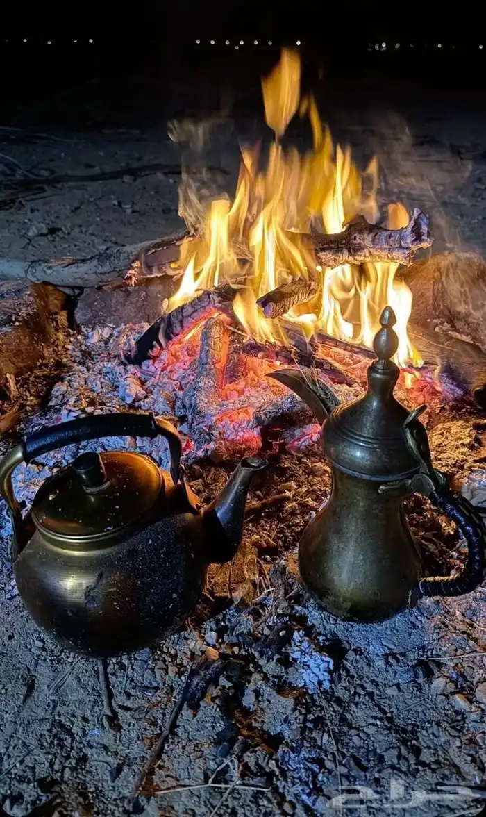 أبحث عن عمل في مخيمات وكشتات البر او إستراحات او اي شيء 0