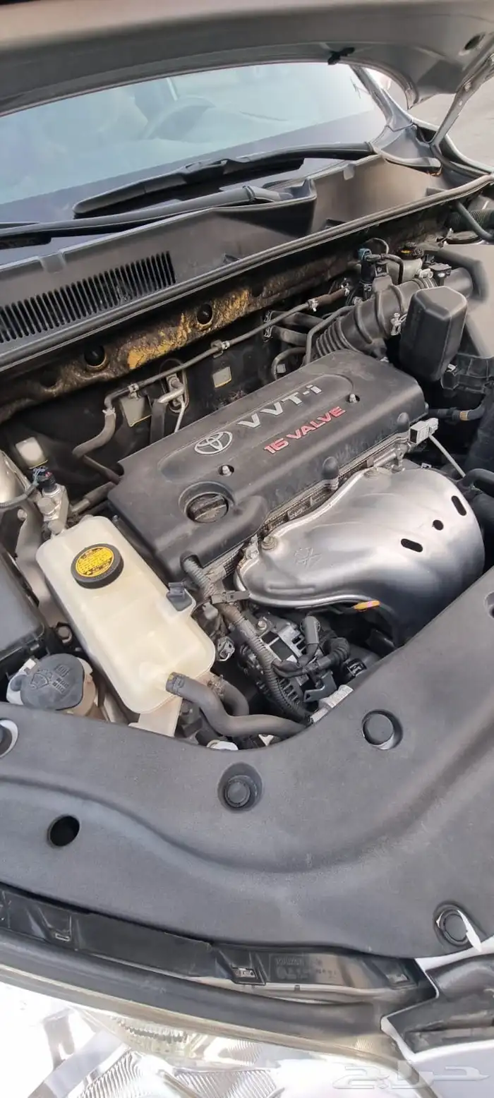 جيب راف فور 2011 17