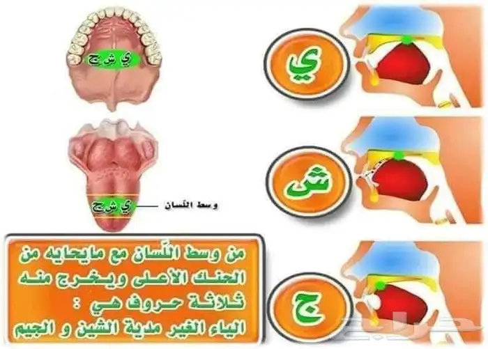 تعليم صعوبات التعلم والنطق ومخارج الحروف والقاعدة النورانيه 9