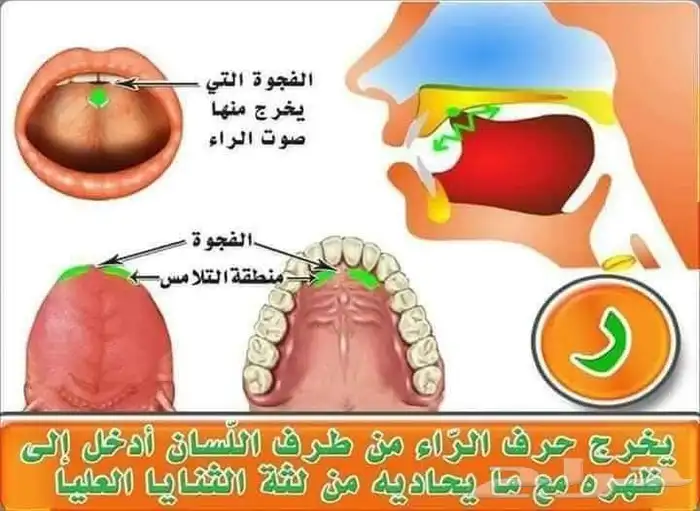تعليم صعوبات التعلم والنطق ومخارج الحروف والقاعدة النورانيه 8